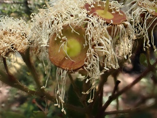 PB261642a.jpg